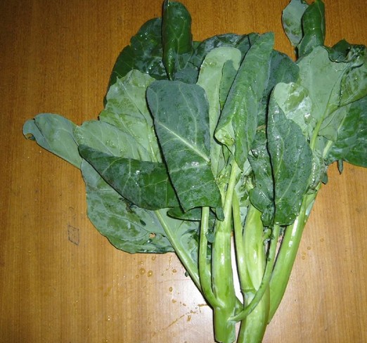 Kale Zhongs